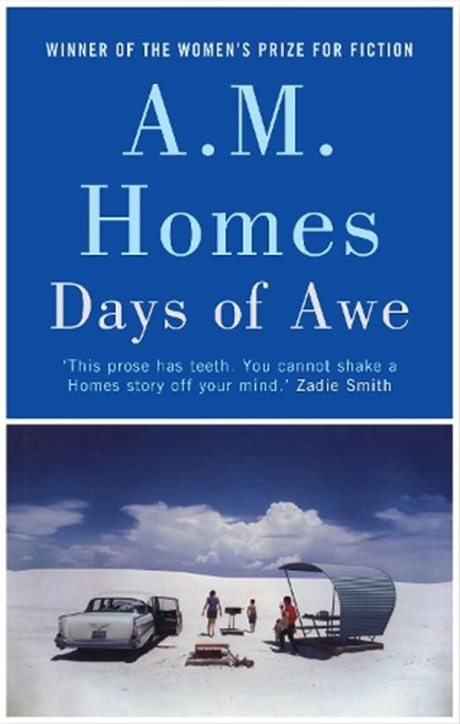 Days of Awe, A.M. Homes - Gebonden - 9781847083258