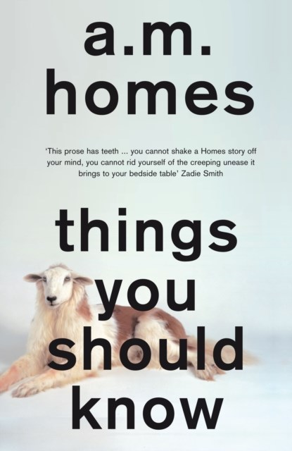 Things You Should Know, A.M. (Y) Homes - Paperback - 9781847087294