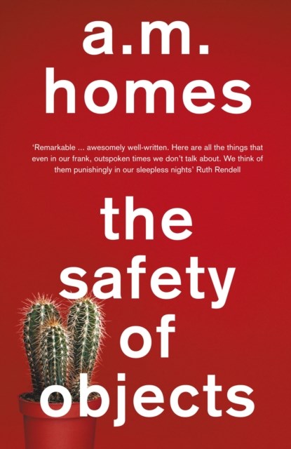 The Safety Of Objects, A.M. (Y) Homes - Paperback - 9781847087300
