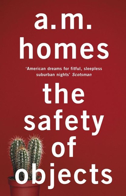 The Safety Of Objects, A.M. (Y) Homes - Paperback - 9781847087300