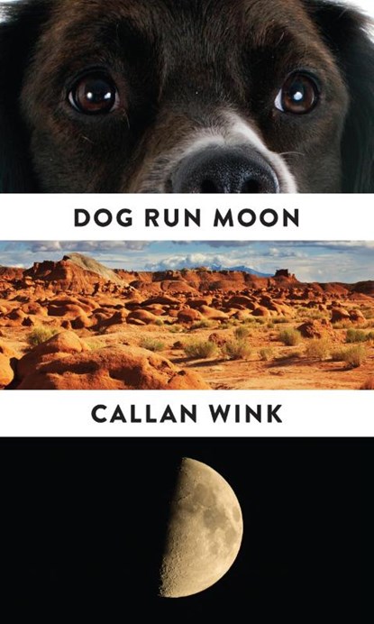 Dog Run Moon, Callan Wink - Paperback - 9781847088147