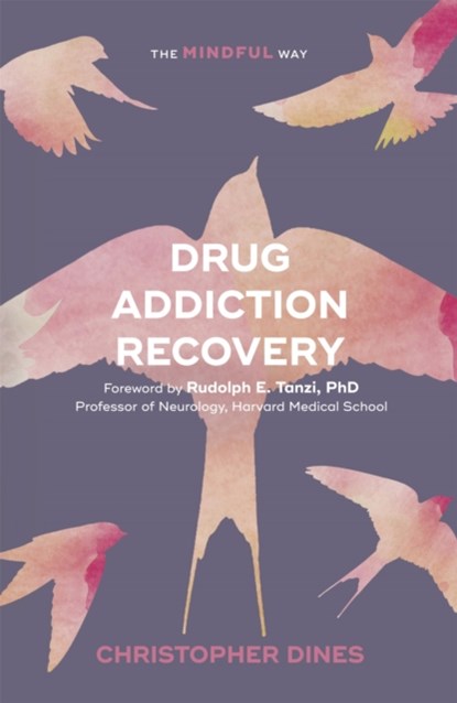 Drug Addiction Recovery: The Mindful Way, Christopher Dines - Paperback - 9781847094940
