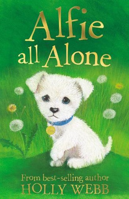 Alfie All Alone, Holly Webb - Paperback - 9781847150158