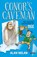 Conor's Caveman, Alan Nolan - Paperback - 9781847177322