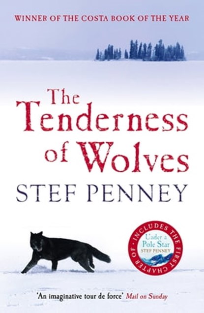 The Tenderness of Wolves, Stef Penney - Ebook - 9781847248954