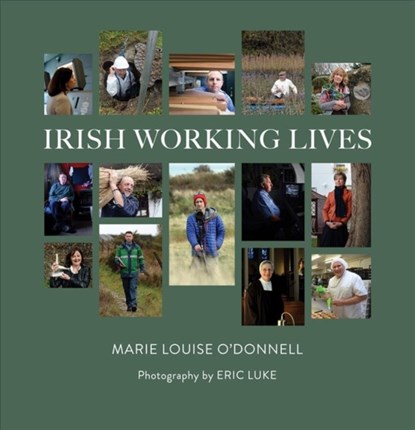 Irish Working Lives, Mary Louise O'Donnell ; Eric Luke - Gebonden - 9781847308344