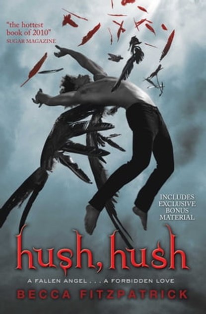 Hush, Hush, Becca Fitzpatrick - Ebook - 9781847389169