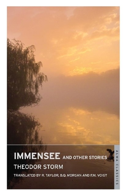 Immensee and Other Stories, Theodor Storm - Paperback - 9781847494597