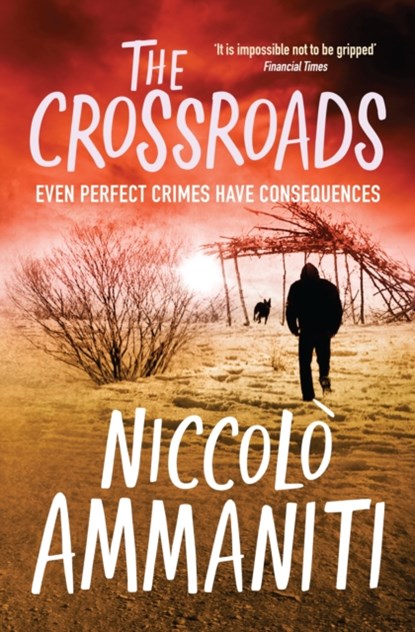 The Crossroads, Niccolo Ammaniti - Paperback - 9781847671387