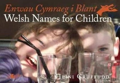Enwau Cymraeg i Blant/Welsh Names for Children, Heini Gruffudd - Paperback - 9781847712196