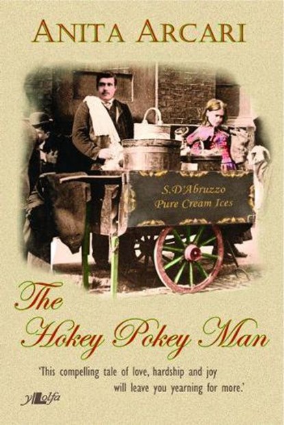 The Hokey Pokey Man, Anita Arcari - Paperback - 9781847712578