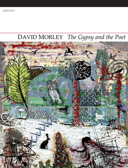 Gypsy and the Poet, David Morley - Paperback - 9781847771247