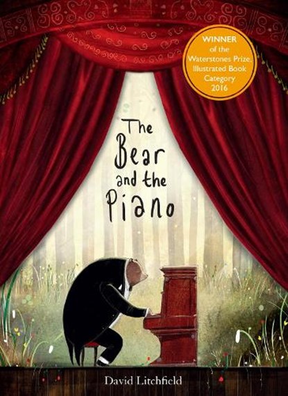 The Bear and the Piano, David Litchfield - Paperback - 9781847807182