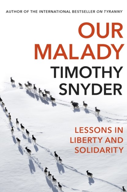 Our Malady, Timothy Snyder - Paperback - 9781847926661