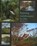 Painting Landscapes in Oils, Robert Brindley - Paperback - 9781847973146