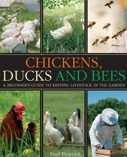 Chickens, Ducks and Bees, Paul Peacock - Ebook - 9781848035720
