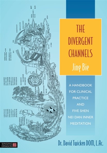 The Divergent Channels - Jing Bie, David Twicken - Paperback - 9781848191891