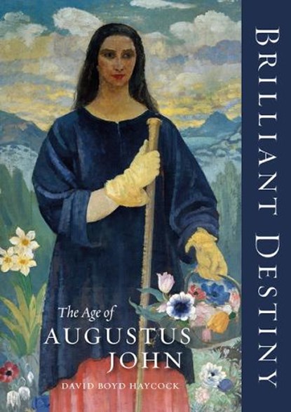 Brilliant Destiny, David Boyd Haycock - Gebonden - 9781848226579
