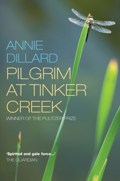 Pilgrim at Tinker Creek, Annie Dillard - Paperback - 9781848250789