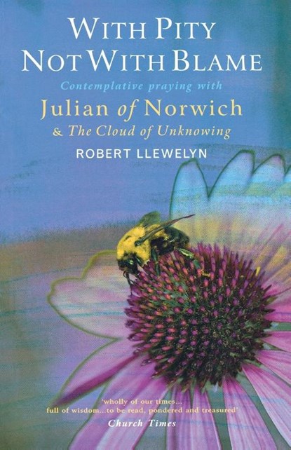With Pity Not With Blame, Robert Llewelyn - Paperback - 9781848252875