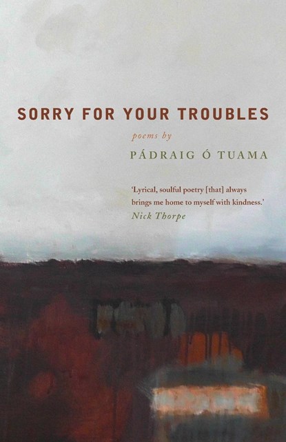 Sorry For Your Troubles, Padraig O Tuama - Paperback - 9781848254626
