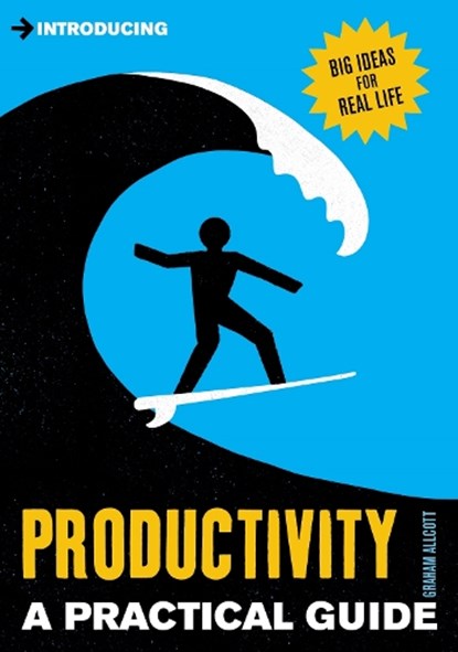 Introducing Productivity, ALLCOTT,  Graham - Paperback - 9781848316492