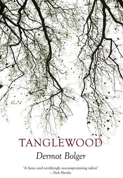 Tanglewood, Dermot Bolger - Paperback - 9781848404304