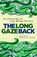The Long Gaze Back, Sinead Gleeson - Paperback - 9781848405486