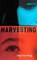 Harvesting, HARDING,  Lisa - Paperback - 9781848405974