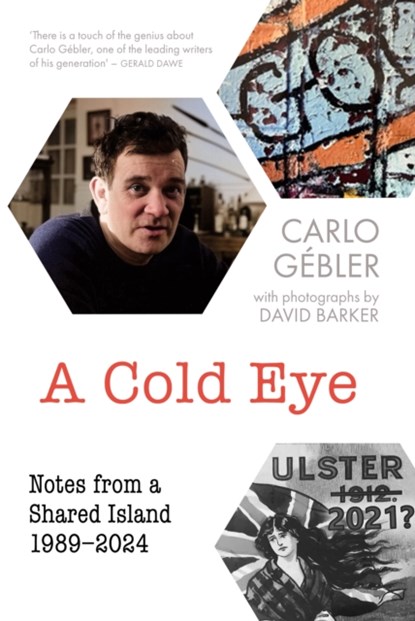 A Cold Eye, Carlo Gebler - Paperback - 9781848409002