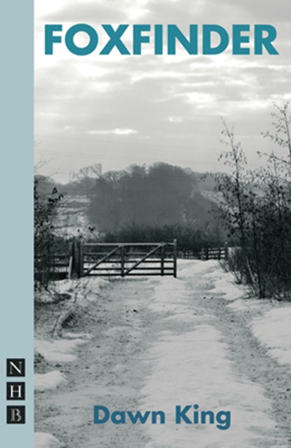 Foxfinder, Dawn King - Paperback - 9781848422445