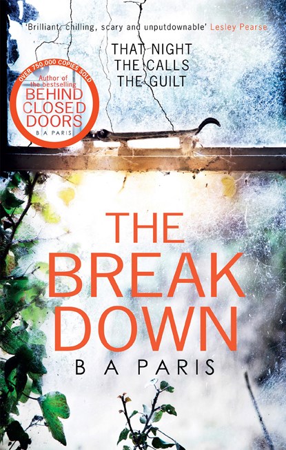 The Breakdown: The gripping thriller from the bestselling author of Behind Closed Doors, B A Paris - Paperback - 9781848454996