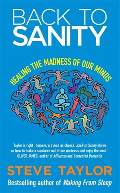 Back to Sanity, Steve Taylor - Paperback - 9781848505476