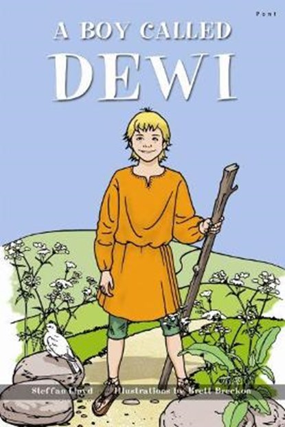 Boy Called Dewi, A, Steffan Lloyd ; Brett Breckon - Paperback - 9781848511538