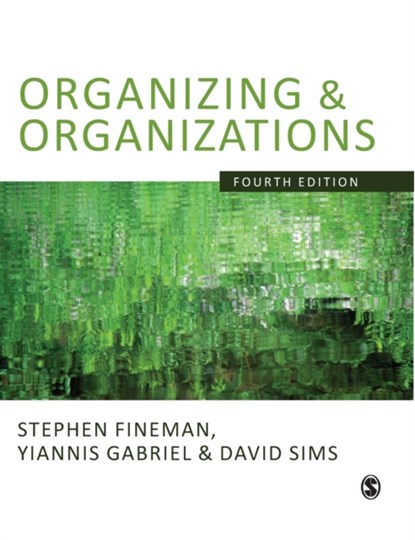 Organizing & Organizations, Stephen Fineman ; Yiannis Gabriel ; David B P Sims - Gebonden - 9781848600850