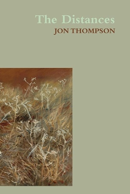 The Distances, THOMPSON,  Jon - Paperback - 9781848619210