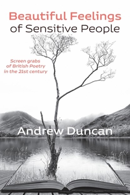 Beautiful Feelings of Sensitive People, Andrew Duncan - Paperback - 9781848619418