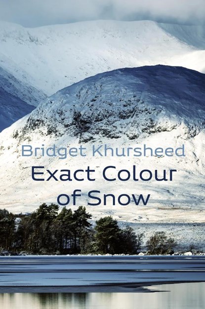 Exact Colour of Snow, Bridget Khursheed - Paperback - 9781848619678