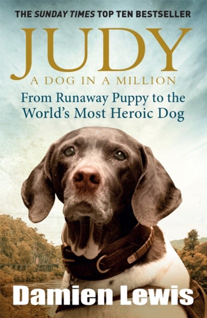 Judy: A Dog in a Million, Damien Lewis - Paperback - 9781848665385