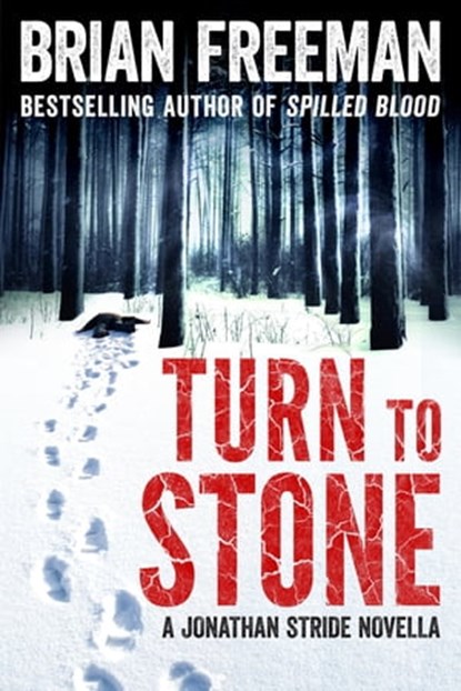 Turn to Stone, Brian Freeman - Ebook - 9781848669109