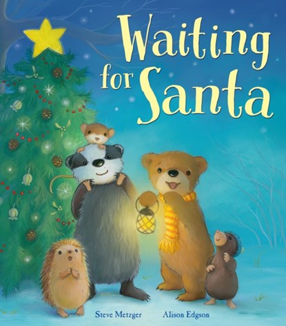 Waiting for Santa, Steve Metzger - Gebonden - 9781848691414