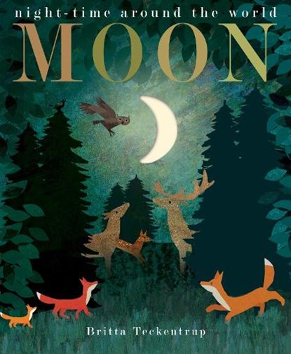 Moon, Patricia Hegarty ; Britta Teckentrup - Paperback - 9781848698673