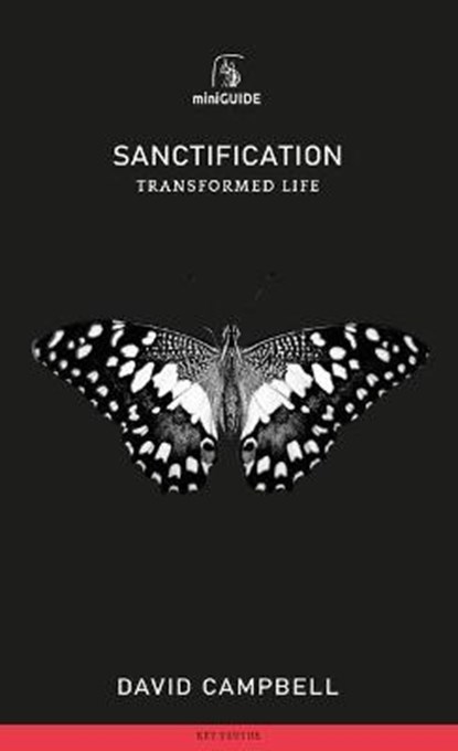 Sanctification: Transformed Life, David Campbell - Paperback - 9781848718265