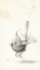 Shaun Tan Notebook - Bee Eater (Yellow), Shaun Tan - Gebonden - 9781848775732