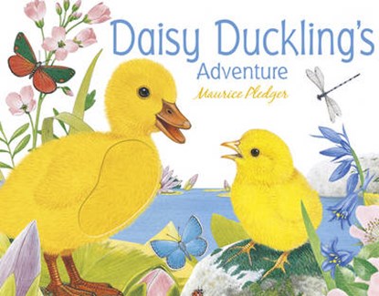 Daisy Duckling's Adventure, PLEDGER,  Maurice - Gebonden - 9781848777101