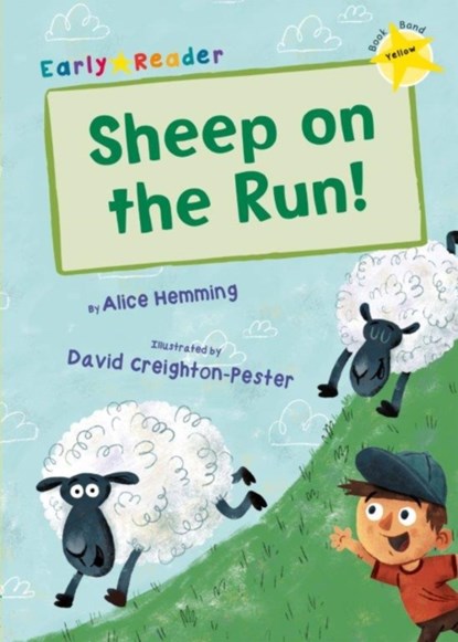 Sheep on the Run!, Alice Hemming - Paperback - 9781848862913
