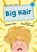 Big Hair, Heather Pindar - Paperback - 9781848866621