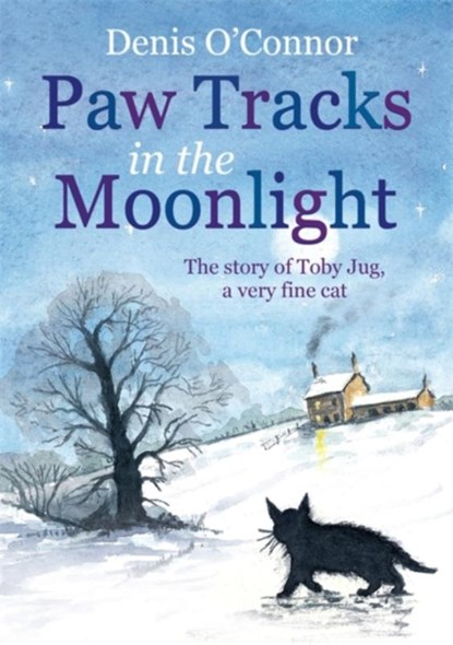 Paw Tracks in the Moonlight, Denis John O'Connor - Paperback - 9781849011198
