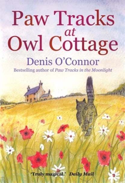 Paw Tracks at Owl Cottage, Denis John O'Connor - Paperback - 9781849016407