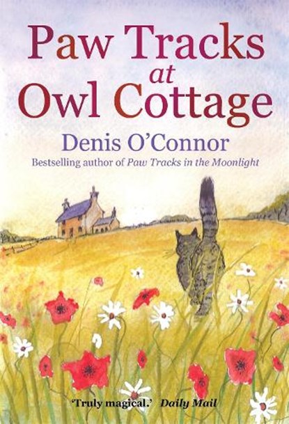 Paw Tracks at Owl Cottage, Denis John O'Connor - Paperback - 9781849016407